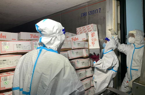 记者探营广州市进口冷冻食品集中监管仓 预约入库 每件必检 件件消毒